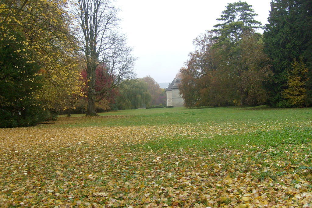 Château De Serrigny Ladoix-Serrigny Exterior foto